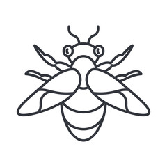 honeybee insect, line detail style icon
