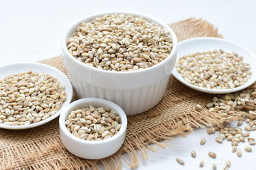 Raw barley grains, released in containers on white wooden background