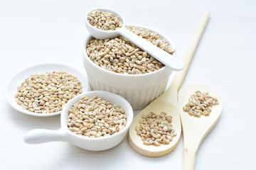 Raw barley grains, released in containers on white wooden background