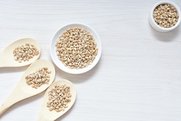 Raw barley grains, released in containers on white wooden background