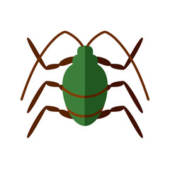 stink beetle insect icon, flat style