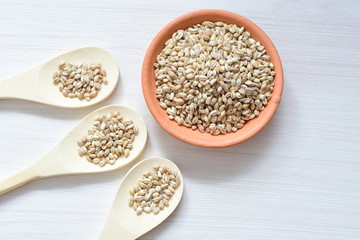 Raw barley grains, released in containers on white wooden background