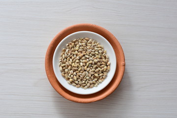 Raw barley grains, released in containers on white wooden background