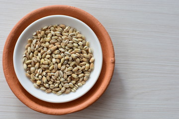 Raw barley grains, released in containers on white wooden background