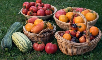 Vegetable baskets with tomatoes and pumpkins