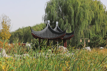 Chinese classical architecture scenery in the park