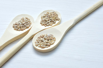 Raw barley grains, released in containers on white wooden background