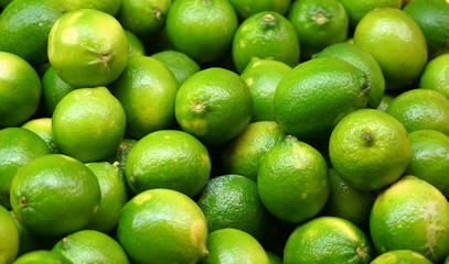Fresh green lime pile in harvest season
