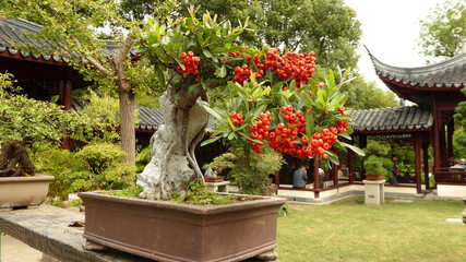 The Old Yi Garden (Gu Yi Yuan) in Nanxiang (Northwestern Shanghai area) offers a great glimpse in a...