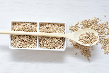 Raw barley grains, released in containers on white wooden background