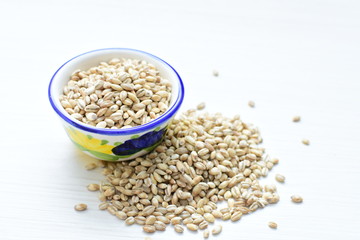 Raw barley grains, displayed in containers on textured background