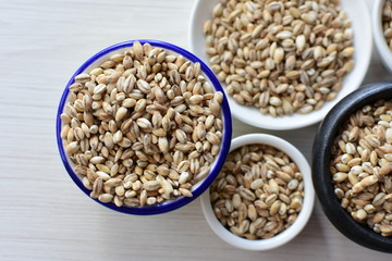 Raw barley grains, displayed in containers on textured background