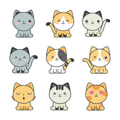 set of cute cats on white background