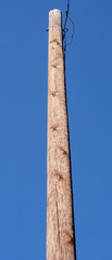 Uncluttered telephone utility pole against bright blue sky.