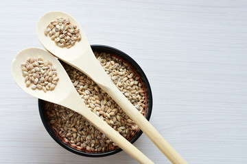 Raw barley grains, displayed in containers on textured background