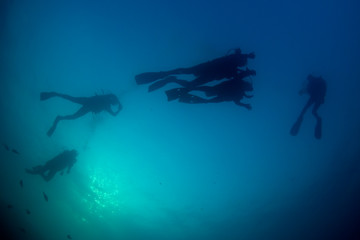 Scuba divers underwater silhouette against blue water 