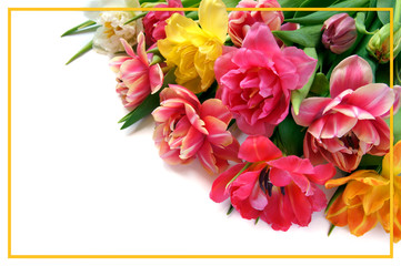 Card with a bouquet of colorful tulips on a white background in a yellow frame