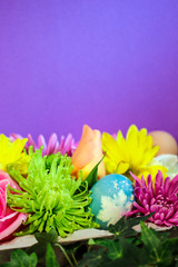 A collection of colorful fresh florist flowers displayed with natural-dyed eggs with botanical leaf prints in an egg carton against a solid purple background, with copy space
