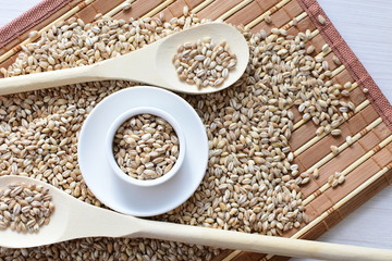 Raw barley grains, displayed in containers on textured background