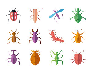 icon set of insects concept, flat style