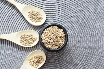 Raw barley grains, displayed in containers on textured background