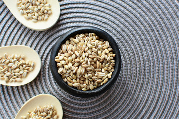 Raw barley grains, displayed in containers on textured background