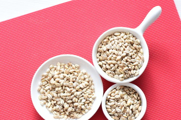 Raw barley grains, displayed in containers on textured background