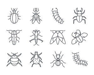 icon set of insects concept, line detail style