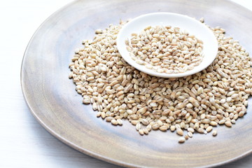 Raw barley grains, displayed in containers on textured background