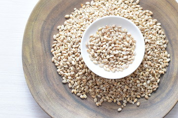 Raw barley grains, displayed in containers on textured background