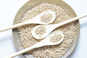  Raw barley grains, displayed in containers on rustic background