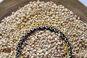  Raw barley grains, displayed in containers on rustic background