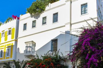 Fototapeta na wymiar Street view with traditional houses in Tangier, Morocco.