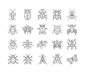 bugs and insect icon set, line detail style