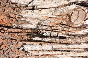 Textura de diferentes tablas de madera vieja