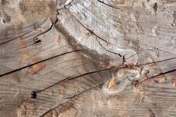 Textura de diferentes tablas de madera vieja