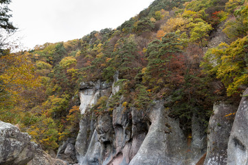 紅葉　群馬県　沼田市　利根町　吹割の滝付近