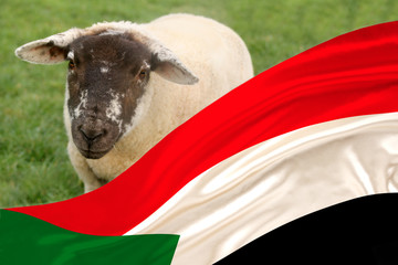 The silk national flag of the state of Sudan flutters in the soft folds of the wind, in the...