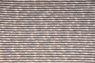 Shingled Roof