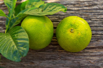 Fresh green oranges on an aged wooden background