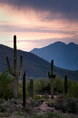 Sunrise in Usery Mountain Regional Park, Mesa, Arizona.