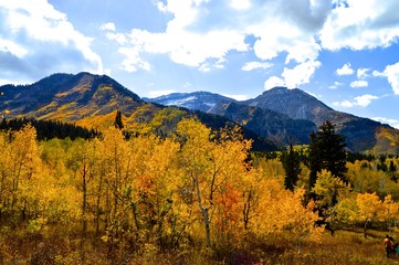 autumn in the mountains