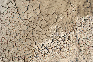 Drought dry water climate change cracked dryed earth soil ground texture