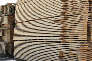 Logging & Wood Cutting