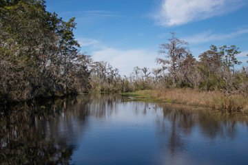 Florida river with blue sky