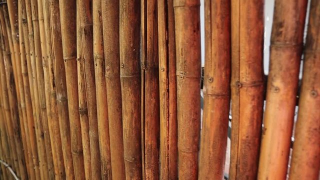 wall of yellow bamboo texture in garden 