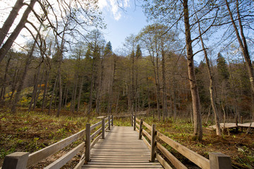 Karagöl Nature Park located in Borcka and Savsat districts of Artvin