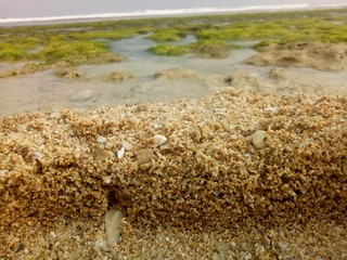 white sand beach texture. naturally formed. sand beach detail.