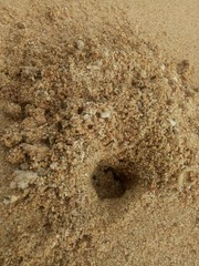 white sand beach texture. naturally formed. sand beach detail.