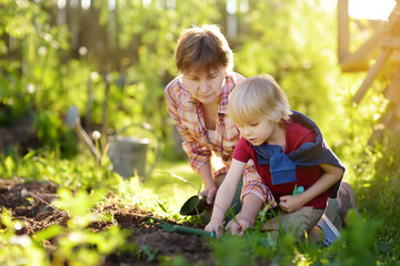 Little boy and woman planting seeds on beds in backyard.